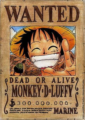 Monkey D. Luffy Wanted Poster Artwork with Straw Hat and Big Smile HD phone wallpaper