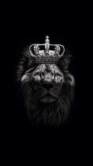 Majestic Lion King With Silver Crown And Glowing Blue Eyes On Black Background HD phone wallpaper