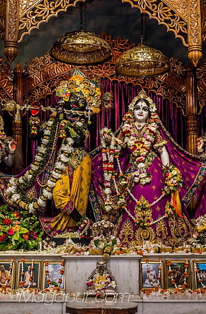 Lord Chaitanya and Jagannath Deities in ornate temple altar with flowers and gold lamps HD phone wallpaper