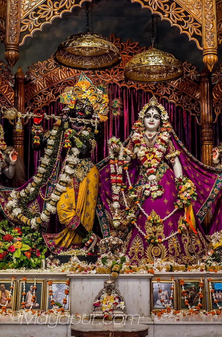 Lord Chaitanya and Jagannath Deities in ornate temple altar with flowers and gold lamps HD phone wallpaper