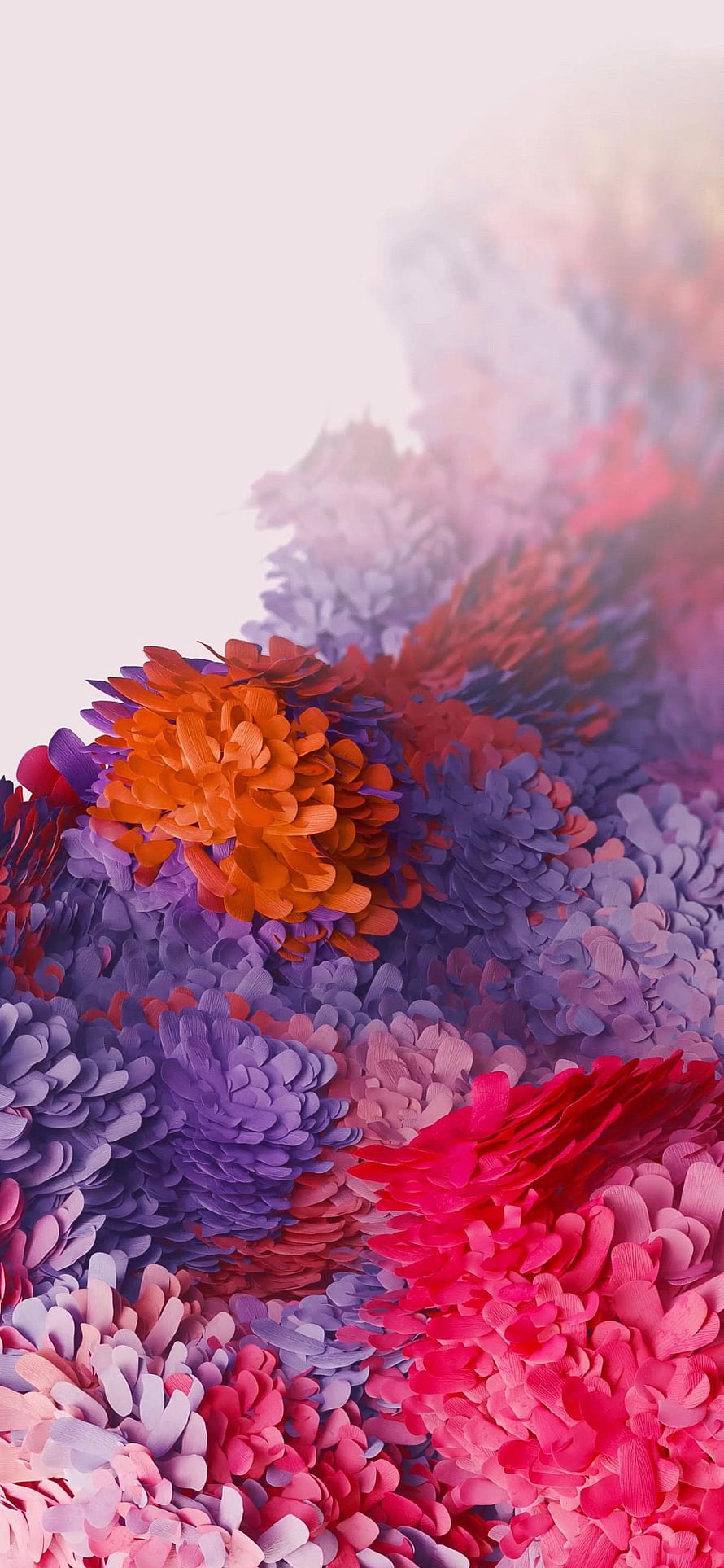 Vibrant 3D Render of Colorful Chrysanthemum Flowers in Purple, Pink, and Orange HD phone wallpaper