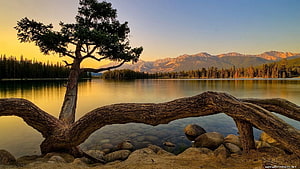 Serene Lake Landscape With Fallen Log And Distant Mountains At Sunset HD wallpaper