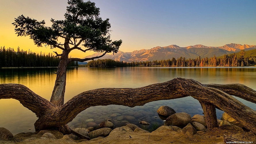 Serene Lake Landscape With Fallen Log And Distant Mountains At Sunset HD wallpaper