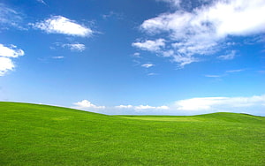 Vast Green Rolling Hills Under a Bright Blue Sky With Scattered White Clouds HD wallpaper