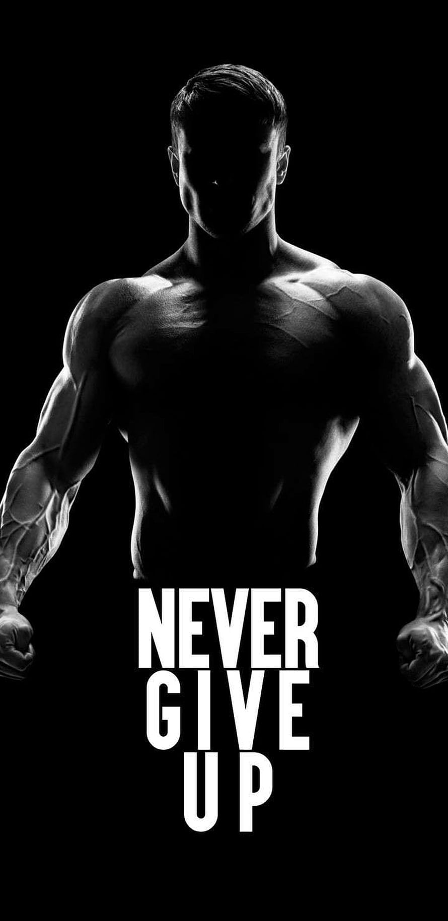 Motivational Black And White Muscular Man Silhouette With Never Give Up Text, Gym Workout Motivation, gym art HD phone wallpaper