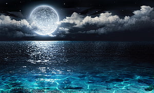 Full Moon Over Ocean Horizon With Bioluminescent Waves And Starry Night Sky HD wallpaper