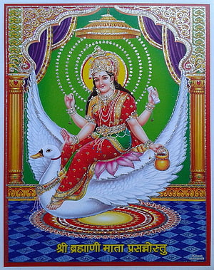Brahmani Mata Seated on White Swan in Traditional Indian Devotional Art HD phone wallpaper