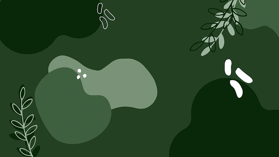 Sage Green Minimalist Botanical Illustration with Abstract Organic Shapes HD wallpaper