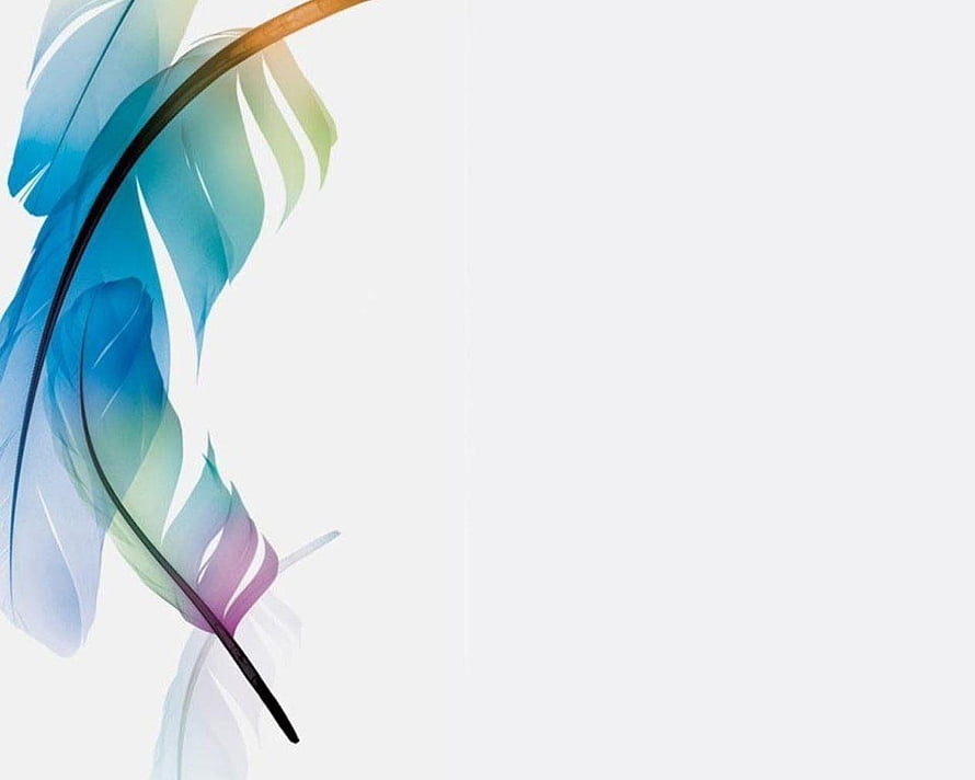 Elegant Blue and Green Feather Illustration on White Background HD wallpaper