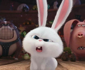 Snowball the White Bunny from The Secret Life of Pets 2 Animated Movie Character Wallpaper HD wallpaper