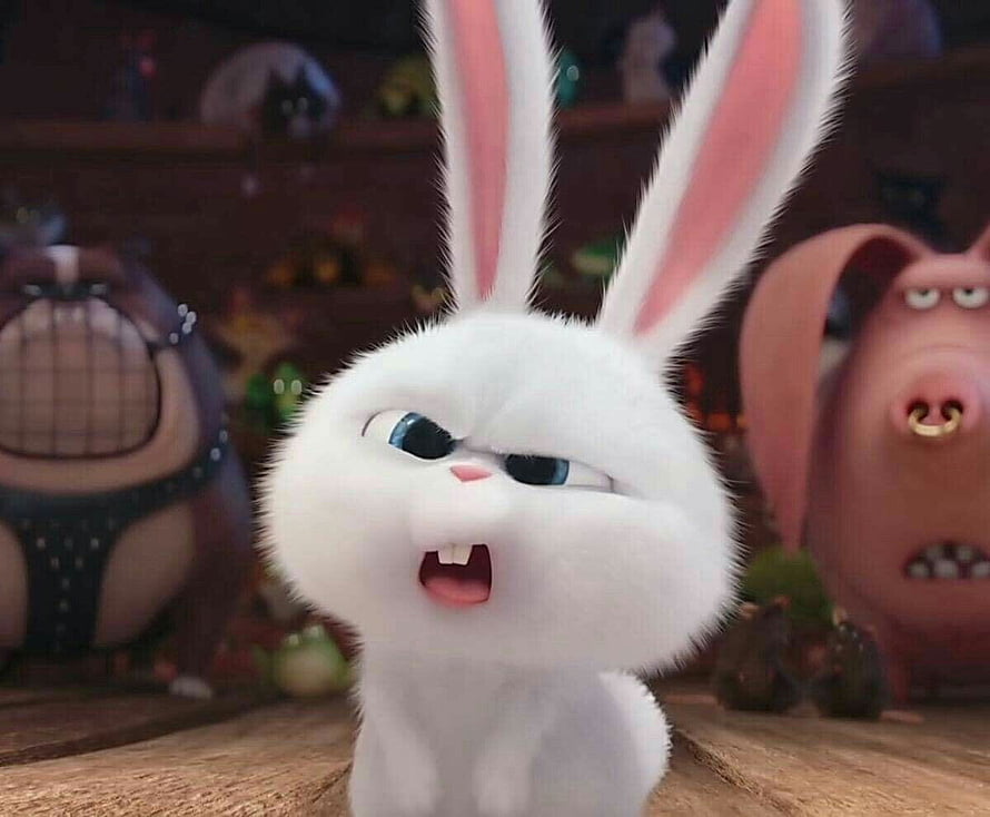 Snowball the White Bunny from The Secret Life of Pets 2 Animated Movie Character Wallpaper HD wallpaper