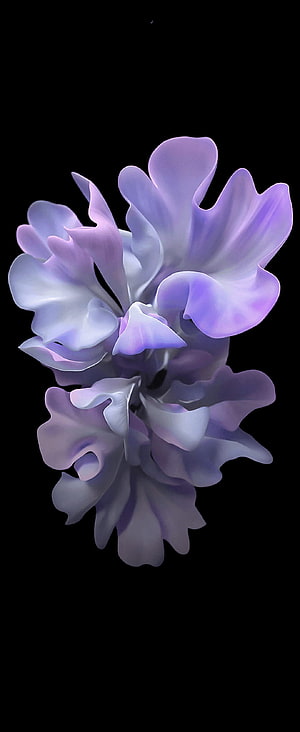 Abstract Purple and White Floral Art on Black Background HD phone wallpaper