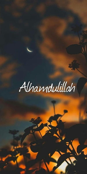 Alhamdulillah Text Overlay on Silhouette Plants Against Sunset Sky with Crescent Moon HD phone wallpaper