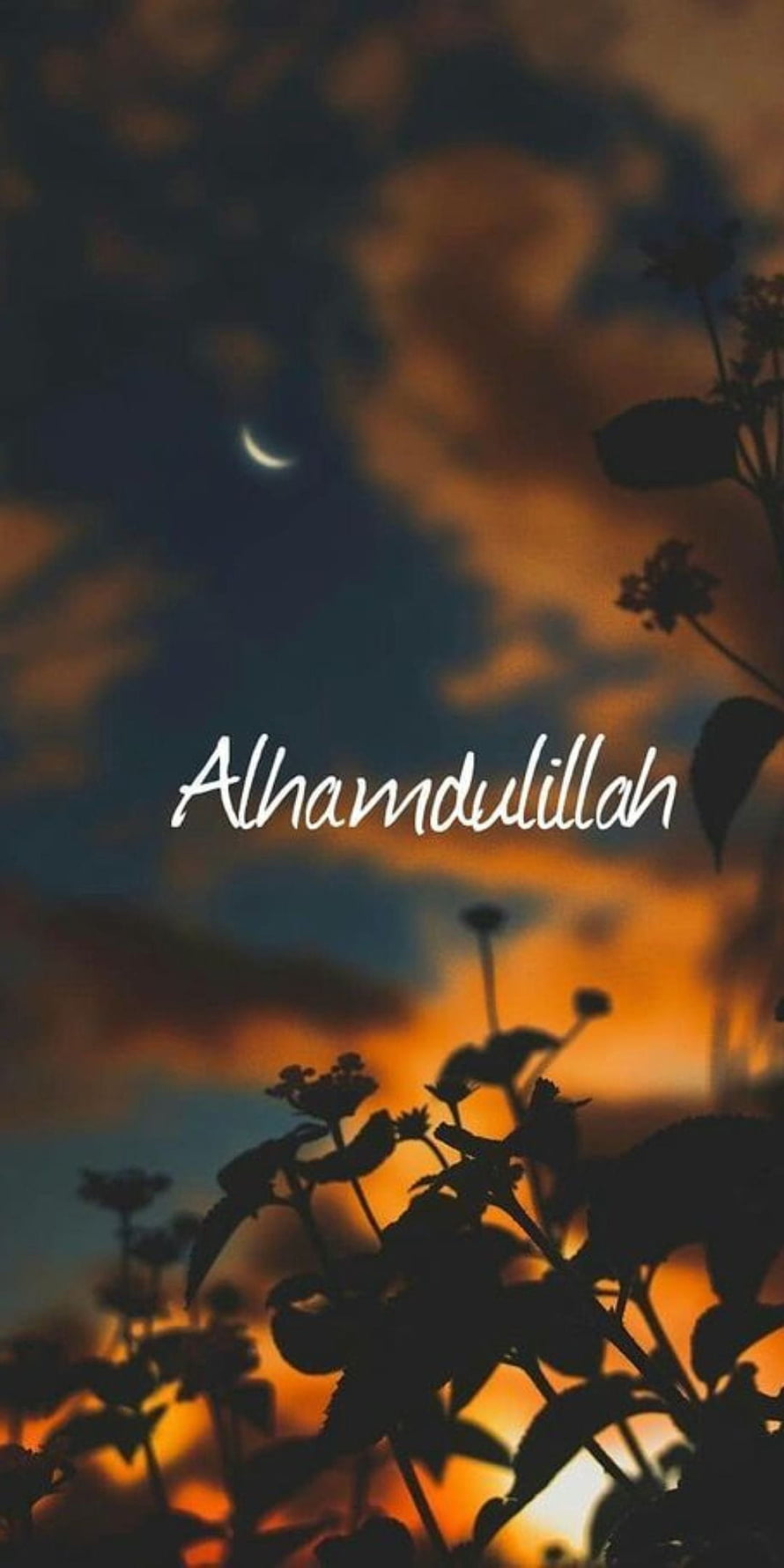 Alhamdulillah Text Overlay on Silhouette Plants Against Sunset Sky with Crescent Moon HD phone wallpaper