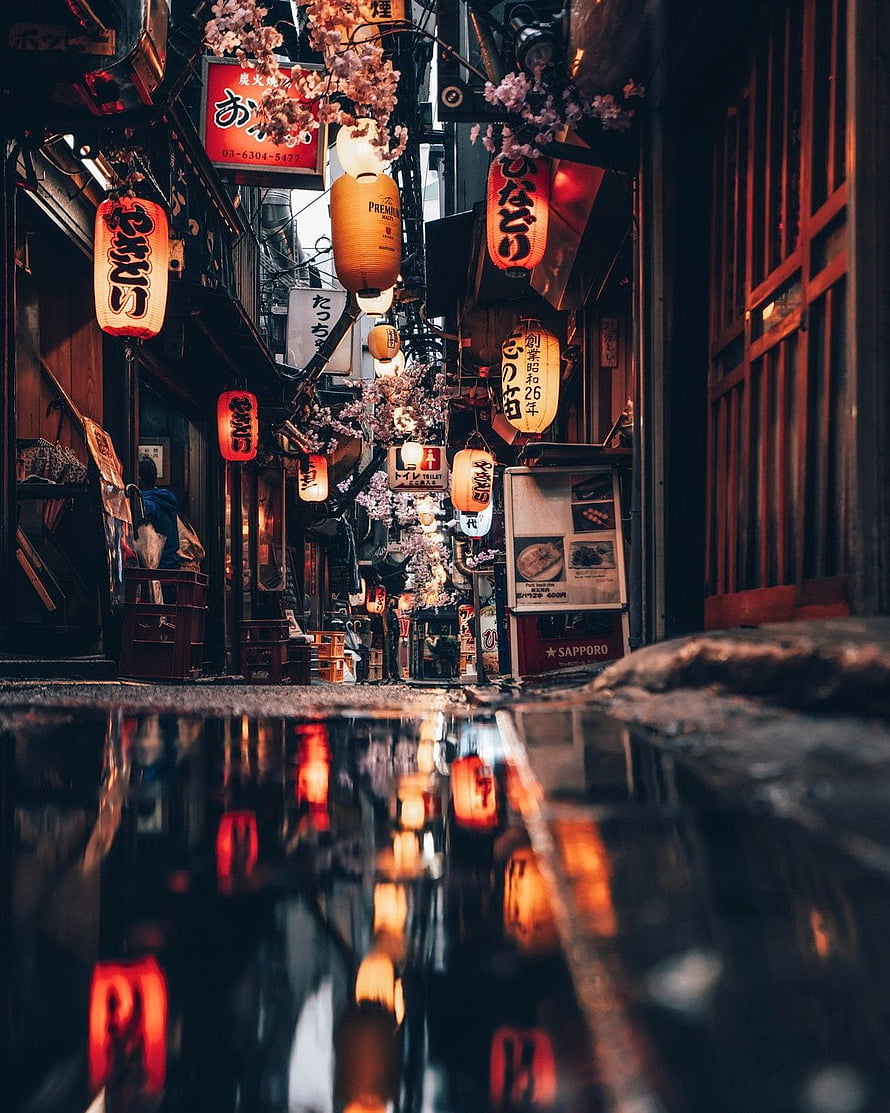 Rainy Night in Tokyo's Gion District with Glowing Lanterns and Cherry Blossoms HD phone wallpaper