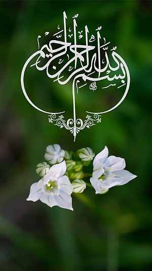 Islamic Calligraphy Art with White Flowers on Green Background HD phone wallpaper