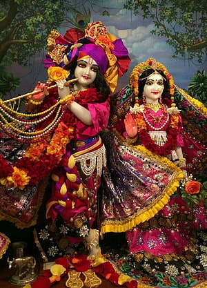 Radha Krishna idols adorned in vibrant pink and purple silk garments with floral garlands and jewelry HD phone wallpaper