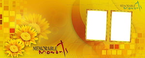 Sunflower Wedding Album Template with Golden Photo Frames and Warm Yellow Background HD wallpaper