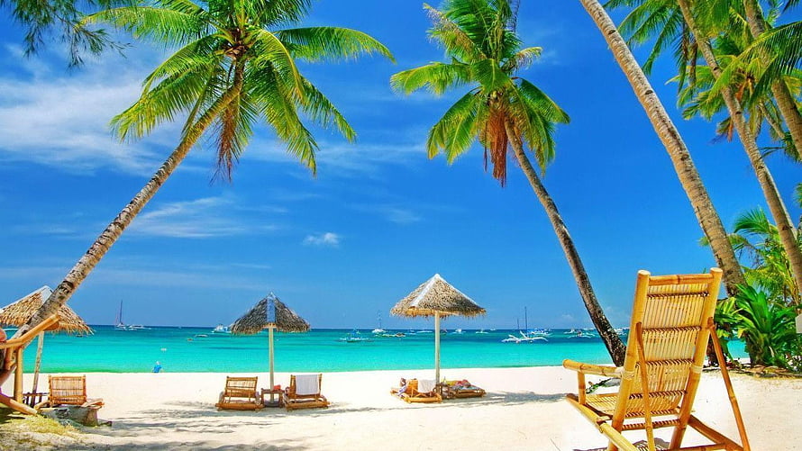 Tropical Paradise Beach With Palm Trees And Bamboo Lounge Chairs HD wallpaper