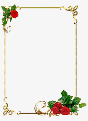 Elegant Gold Ornamental Frame with Red Roses and Green Leaves on White Background HD phone wallpaper