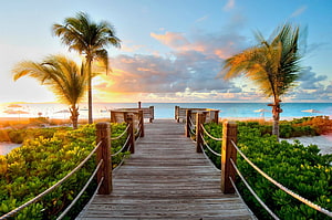 Tropical Beach Boardwalk at Sunset with Palm Trees and Ocean View HD wallpaper
