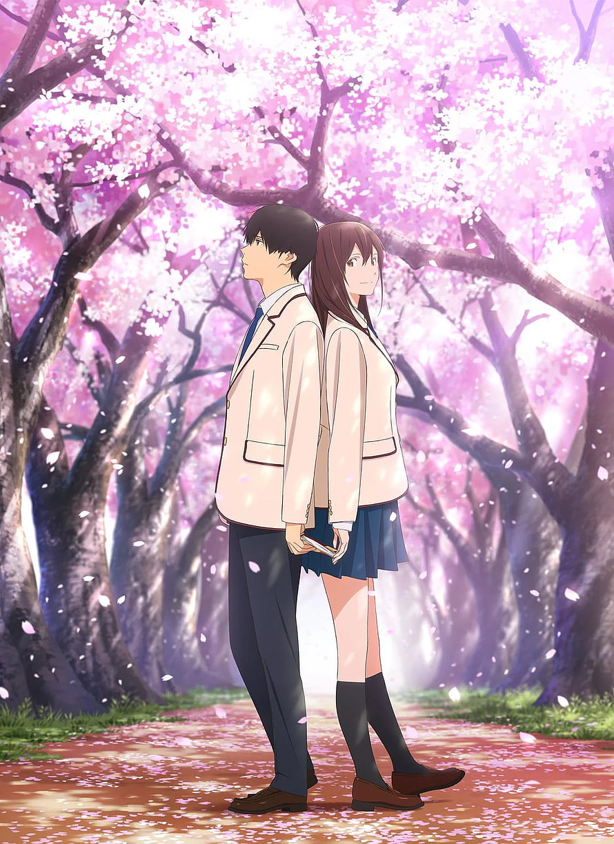 I Want to Eat Your Pancreas Anime Couple Under Cherry Blossoms HD phone wallpaper