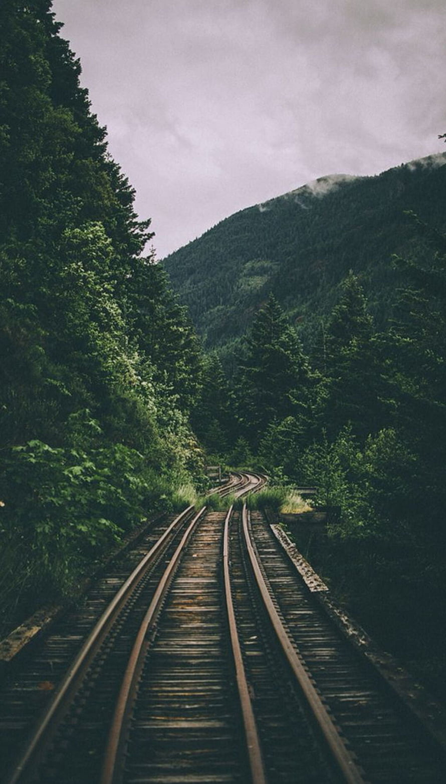 Winding Train Tracks Through Dense Forest Mountains HD phone wallpaper