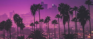 Los Angeles skyline at dusk with palm tree silhouettes in a purple haze HD wallpaper