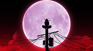 Silhouette of a ninja character sitting on a utility pole against a giant purple moon and red sky HD wallpaper