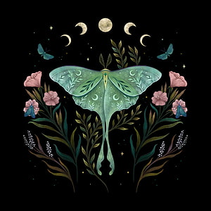 Celestial Luna Moth Illustration with Moon Phases and Botanical Elements on Black Background HD phone wallpaper
