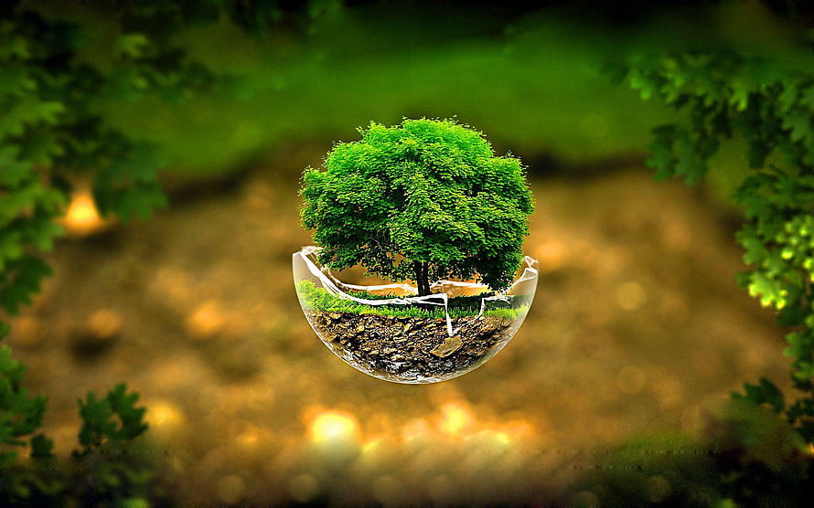 Suspended Tree in a Shattered Glass Sphere Against a Blurred Forest Background HD wallpaper