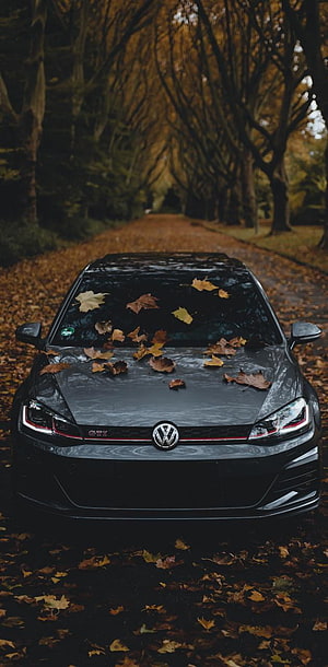 Black Volkswagen Golf GTI Parked on Autumn Forest Road with Fallen Leaves HD phone wallpaper