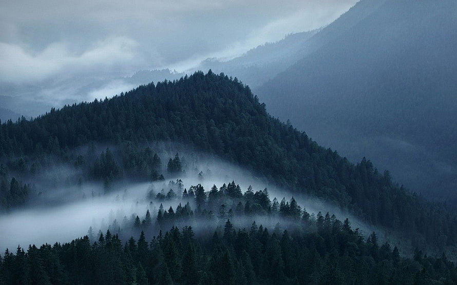 Misty Alpine Mountain Landscape with Dense Evergreen Forest and Low-Hanging Clouds HD wallpaper