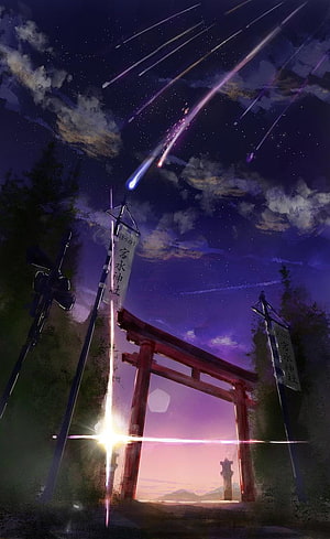 Your Name Anime Torii Gate Under Meteor Shower Night Sky HD phone wallpaper