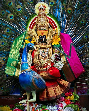 Lord Murugan Statue with Peacock and Peacock Feathers Background HD phone wallpaper