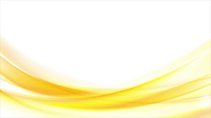 Elegant Golden Abstract Waves on a Clean White Background HD wallpaper
