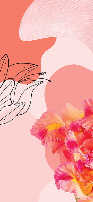 Abstract Pink Floral Wallpaper with Watercolor Blooms and Minimalist Line Art HD phone wallpaper