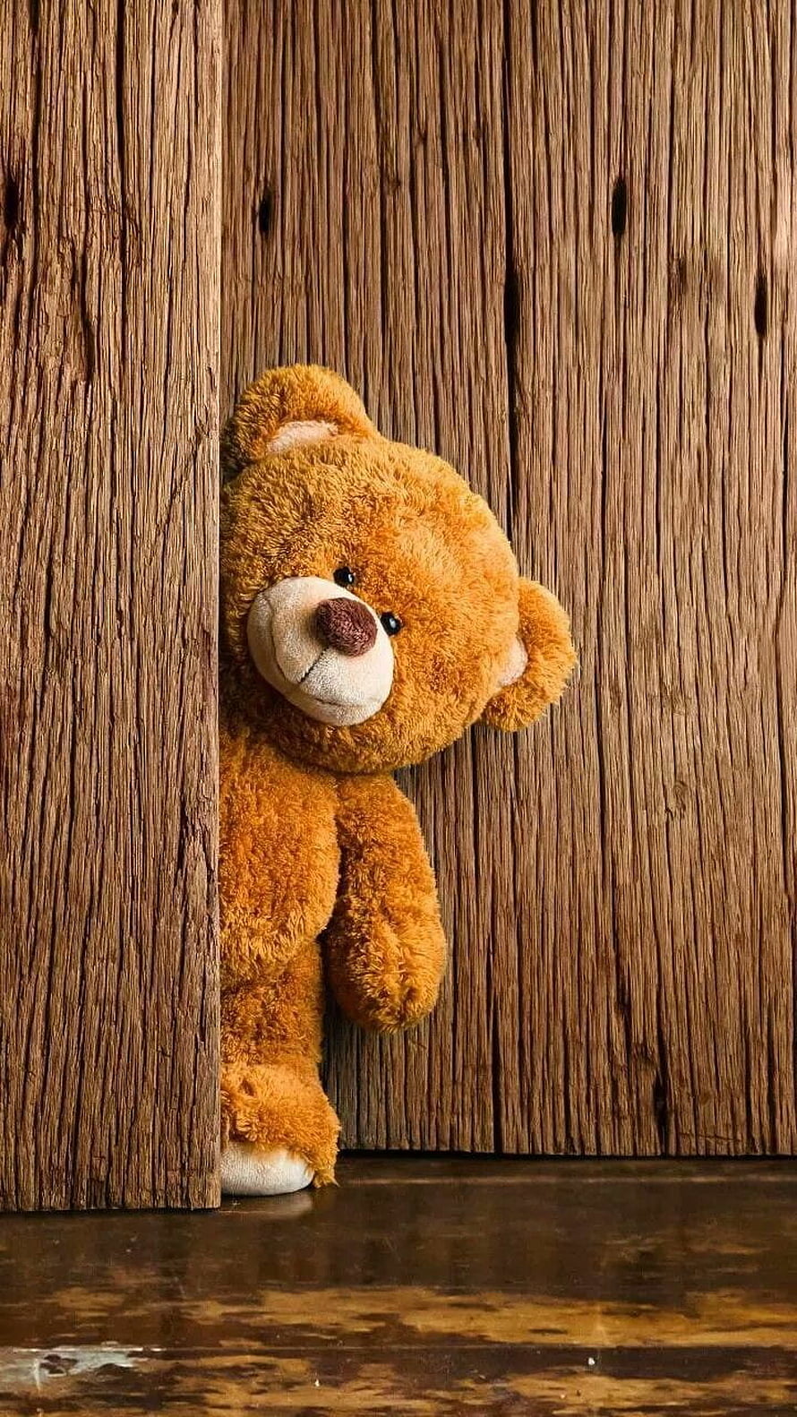 Cute Brown Teddy Bear Peeking From Behind Wooden Planks HD phone wallpaper