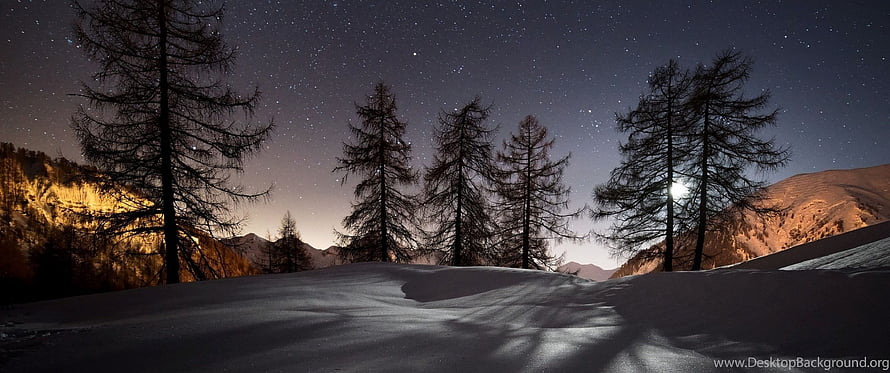 Winter Night Landscape with Snowy Hills, Silhouetted Pine Trees, and Starry Sky HD wallpaper