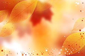 Warm Autumn Leaves with Soft Bokeh and Golden Light for Seasonal Design HD wallpaper