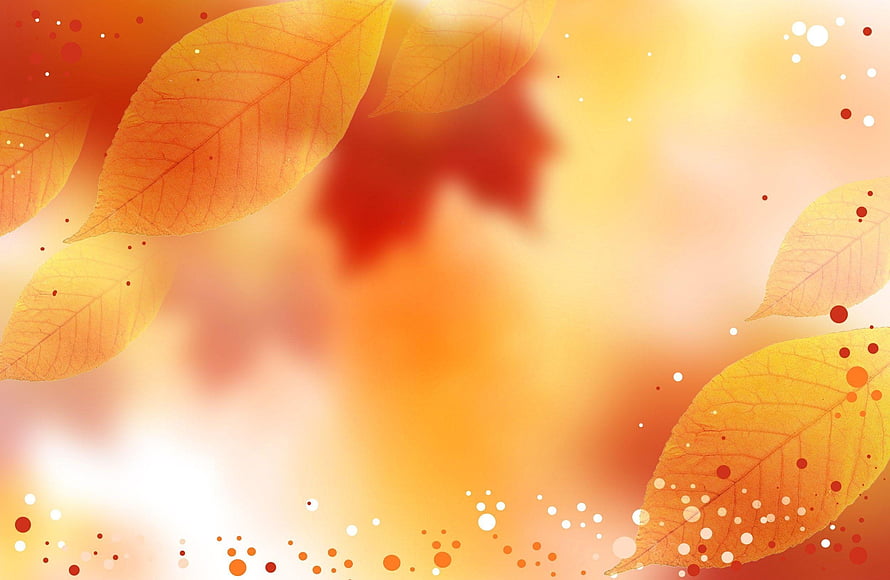 Warm Autumn Leaves with Soft Bokeh and Golden Light for Seasonal Design HD wallpaper