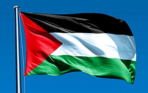 Palestinian National Flag Waving Against a Clear Blue Sky HD wallpaper