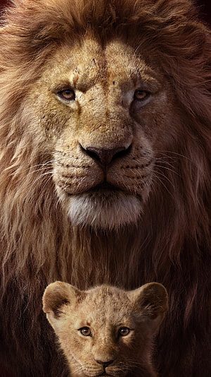 Majestic Male Lion and Cute Cub Portrait Wallpaper HD phone wallpaper