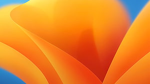 Abstract Orange and Yellow Gradient Waves Wallpaper HD wallpaper