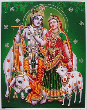 Radha Krishna Playing Flute With Cows On Green Background HD phone wallpaper