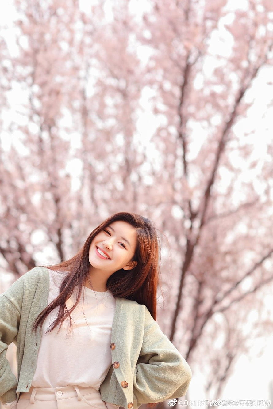 Zhao Lusi smiling in a light green cardigan against a soft pink cherry blossom background HD phone wallpaper