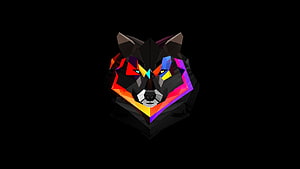 Colorful Geometric Wolf Head Low Poly Art on Black Background HD wallpaper