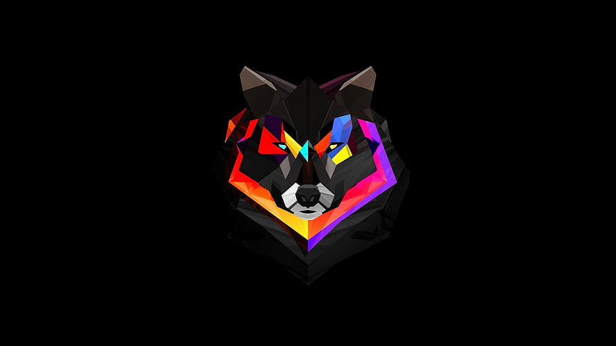 Colorful Geometric Wolf Head Low Poly Art on Black Background HD wallpaper