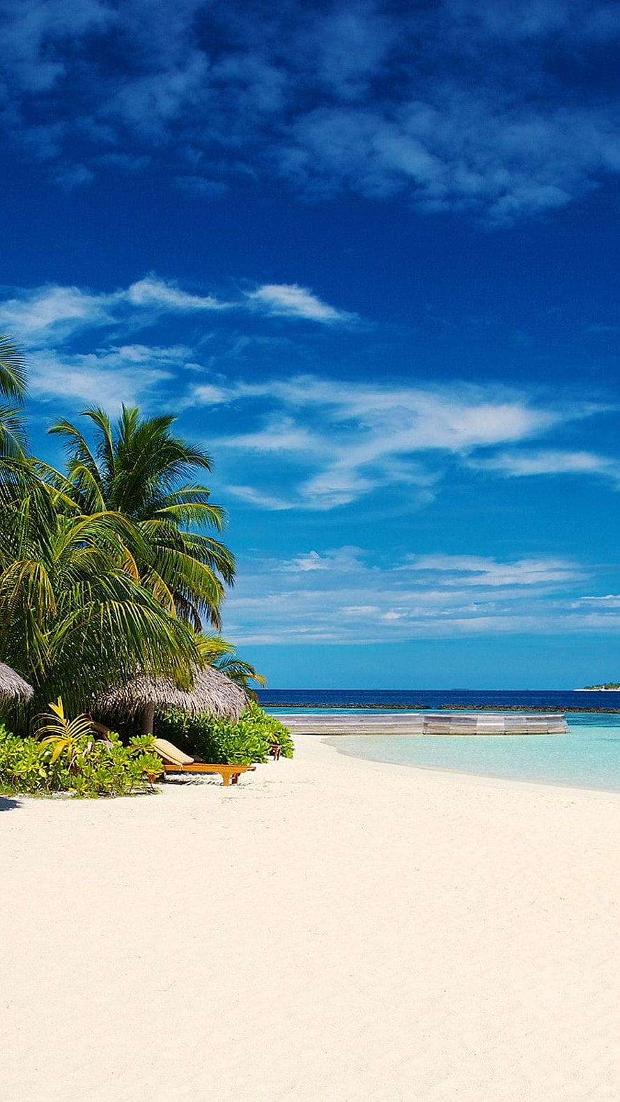Tropical Paradise Beach with Palm Trees and Turquoise Ocean HD phone wallpaper