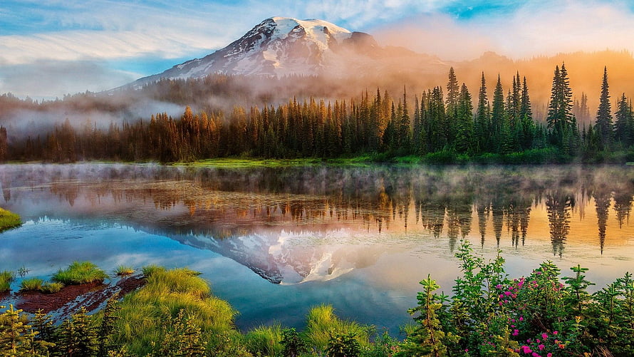 Misty Mountain Lake Reflection at Sunrise with Evergreen Forest and Wildflowers HD wallpaper